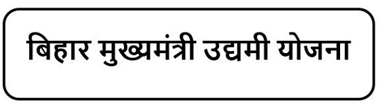 बिहार मुख्यमंत्री उद्यमी योजना  लोगो 