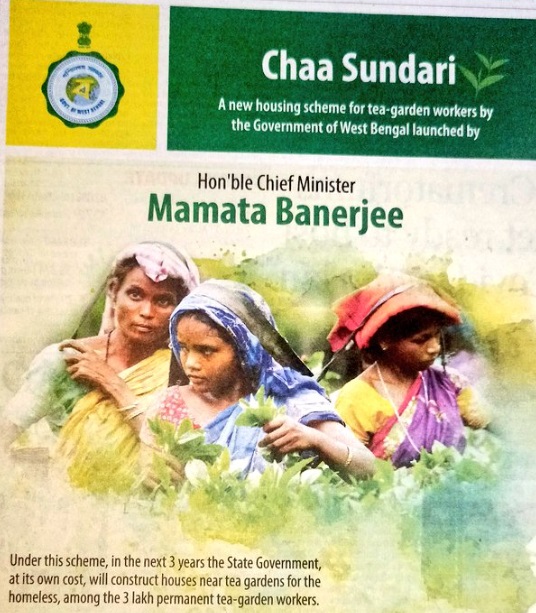 West Bengal Chaa Sundari Scheme Logo.