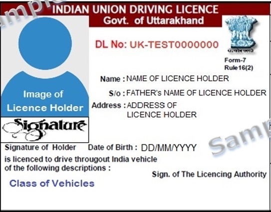 Driving License